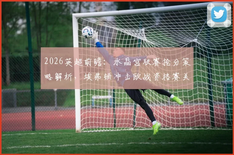 2026英超前瞻:水晶宫联赛抢分策略解析,埃弗顿冲击欧战资格赛关键战分析